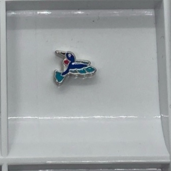 Custom Bundle x12 origami owl charms - Picture 5 of 12